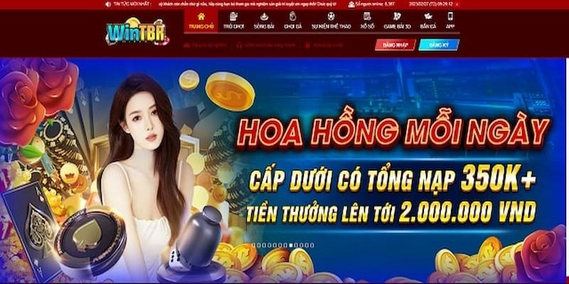 chi tiet nha cai wintbr